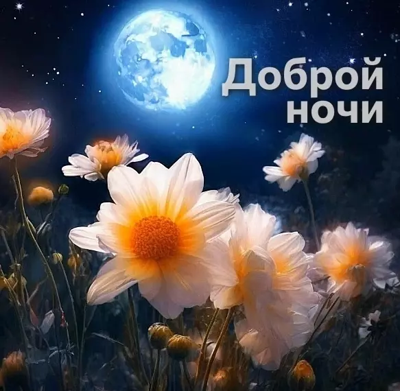 Кафе "У пани Сони"