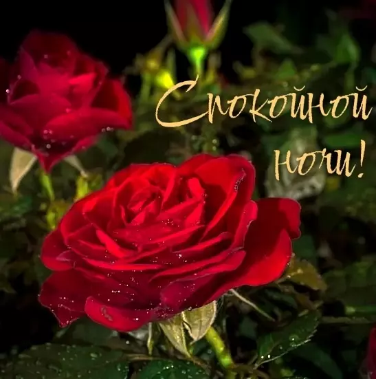 Кафе "У пани Сони"