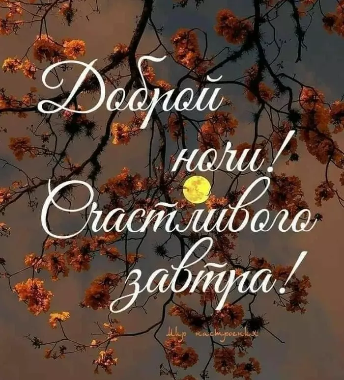 Кафе "У пани Сони"