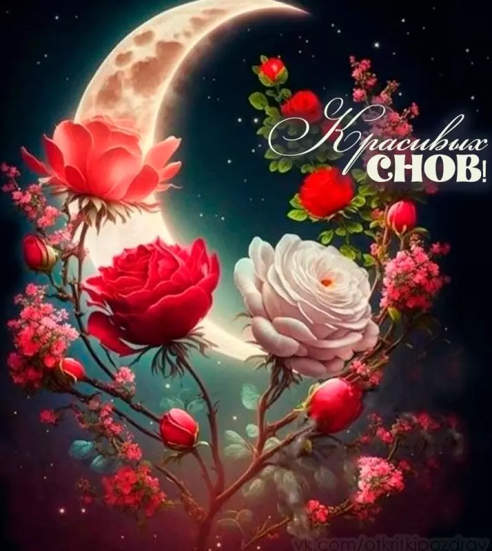 Кафе "У пани Сони"