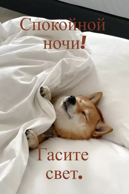 Кафе "У пани Сони"