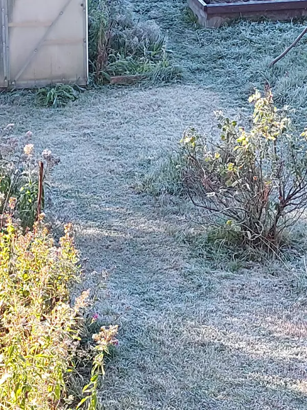 Кафе "У пани Сони"