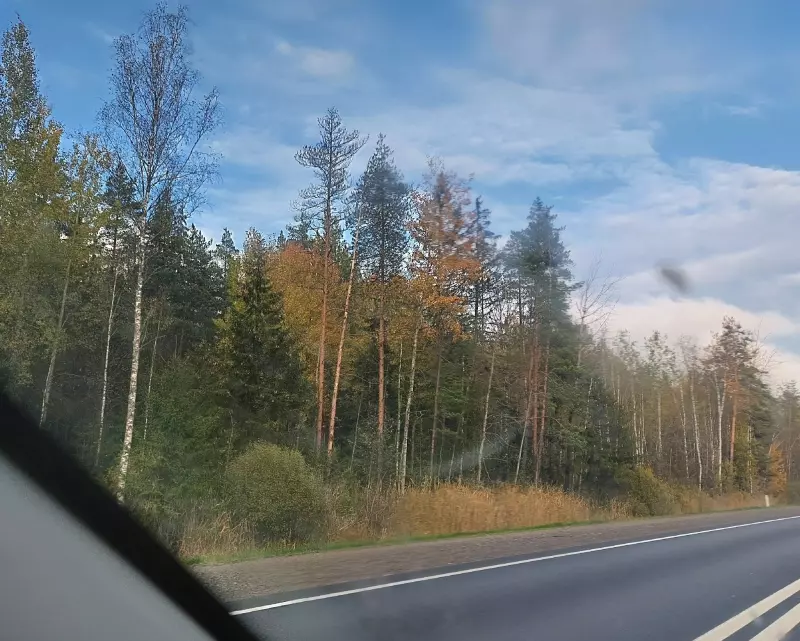 Кафе "У пани Сони"