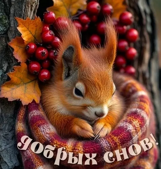 Кафе "У пани Сони"