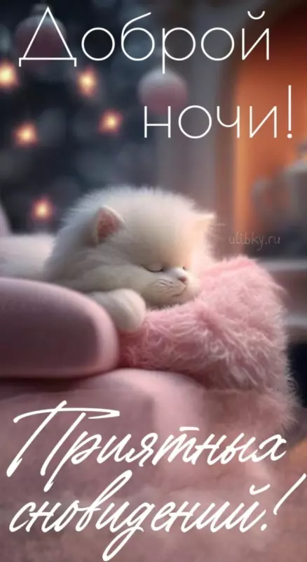 Кафе "У пани Сони"