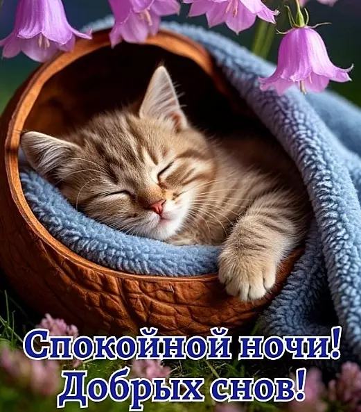 Кафе "У пани Сони"