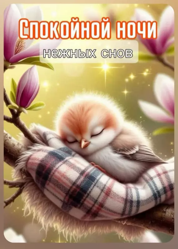 Кафе "У пани Сони"