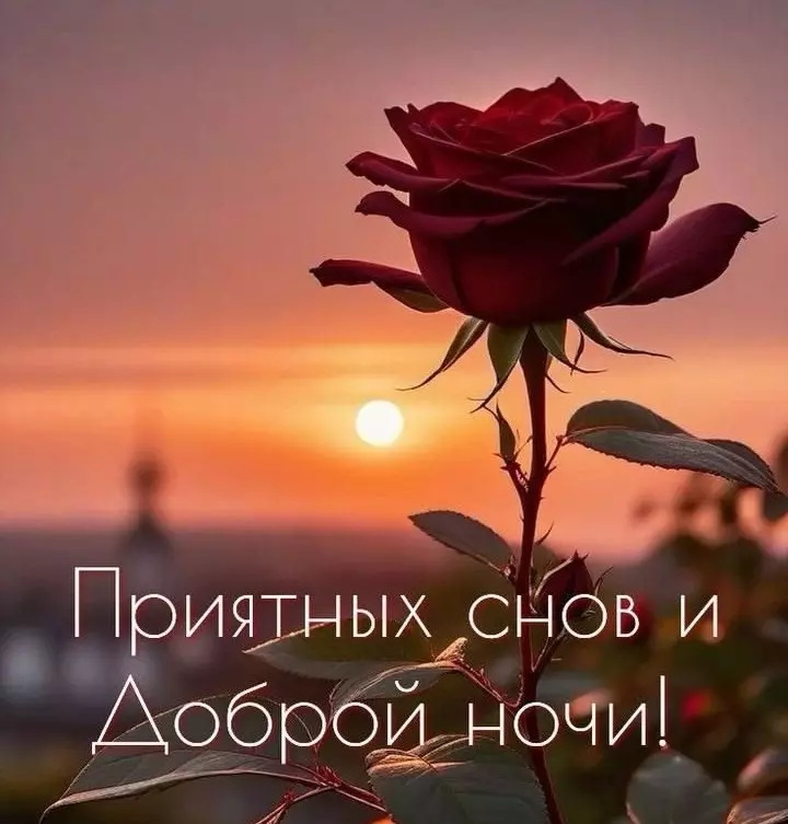 Кафе "У пани Сони"