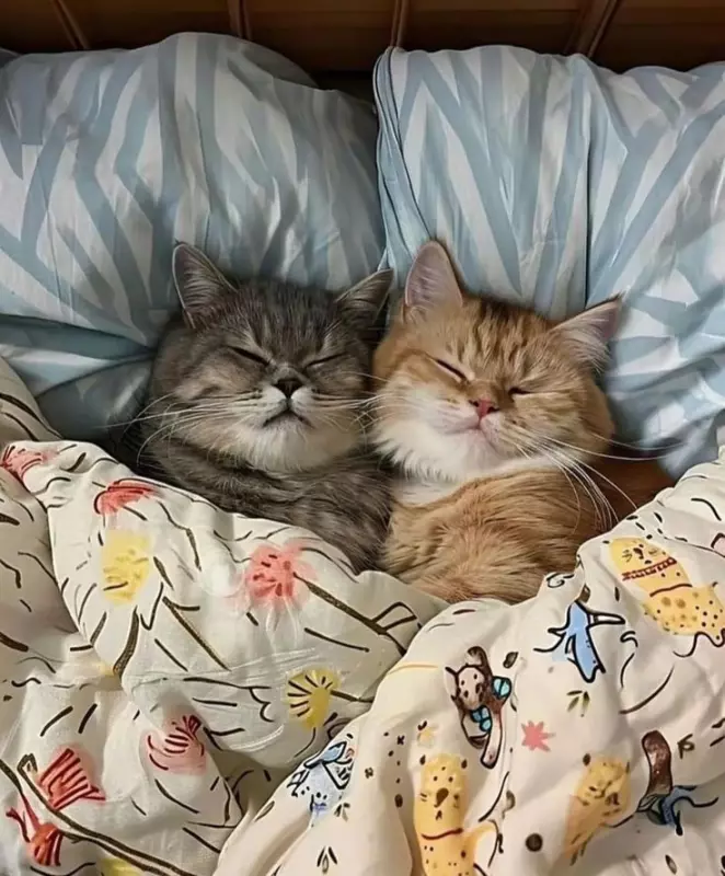 Кафе "У пани Сони"