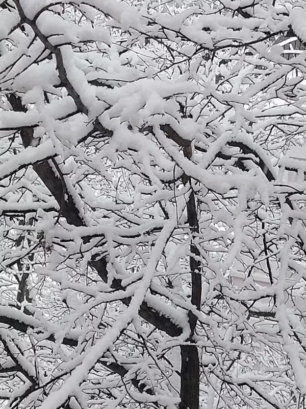 Кафе "У пани Сони"