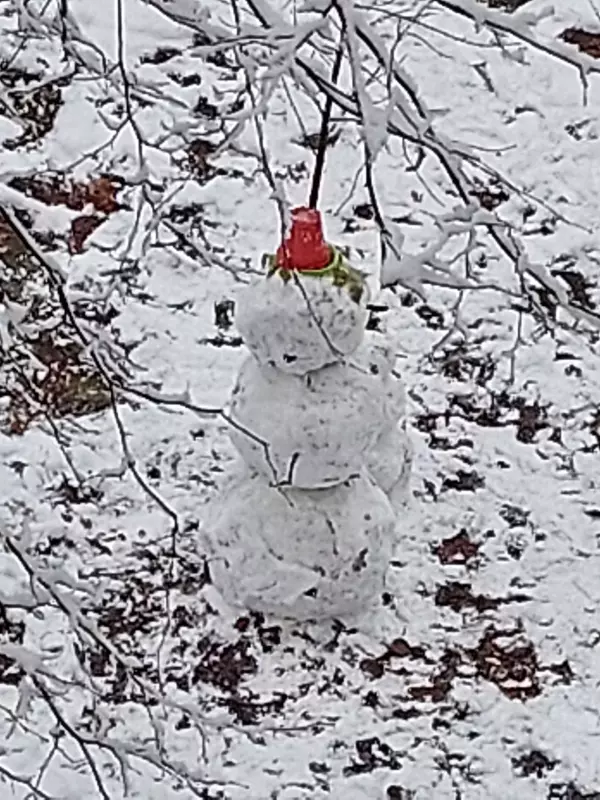 Кафе "У пани Сони"