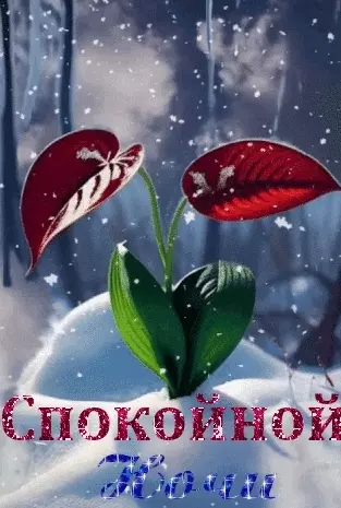 Кафе "У пани Сони"