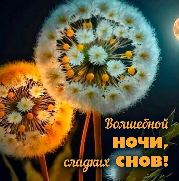 Кафе "У пани Сони"