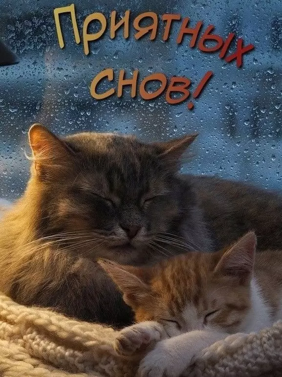 Кафе "У пани Сони"