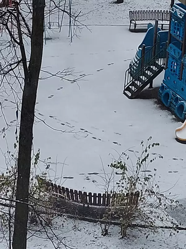 Кафе "У пани Сони"