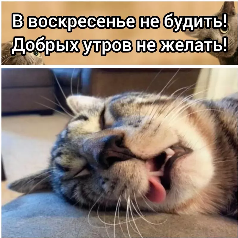 Кафе "У пани Сони"