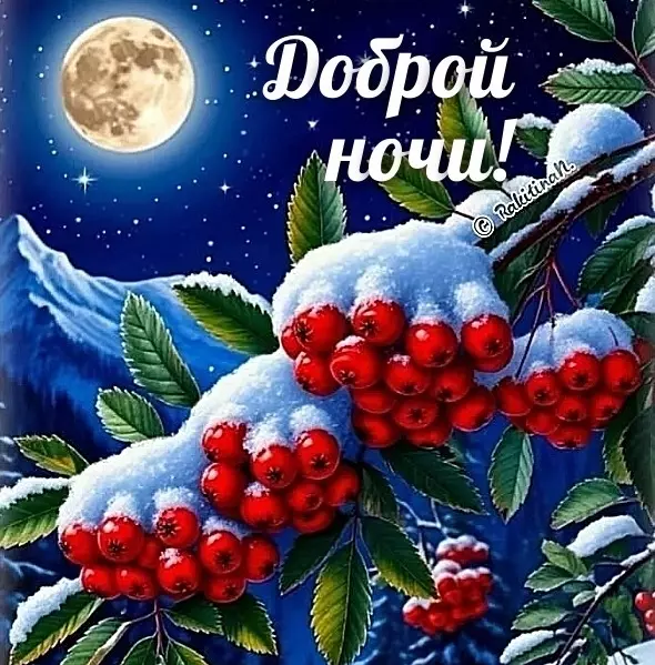 Кафе "У пани Сони"