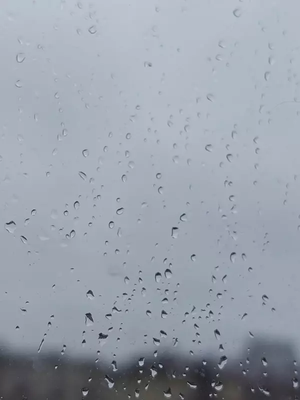 Кафе "У пани Сони"