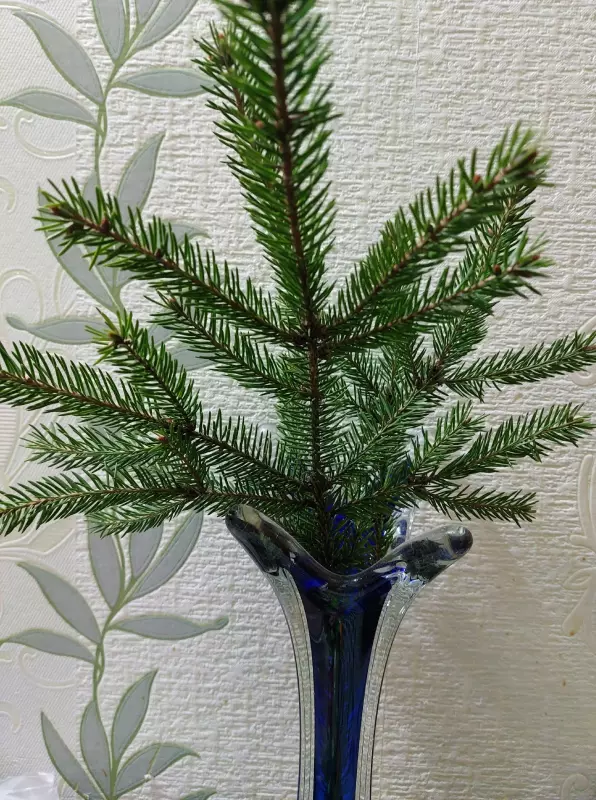 Кафе "У пани Сони"