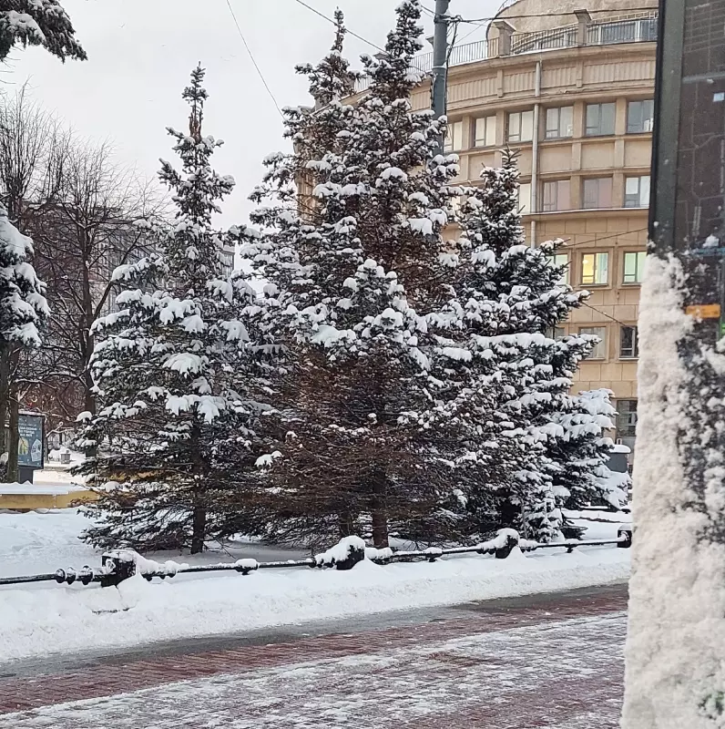 Кафе "У пани Сони"