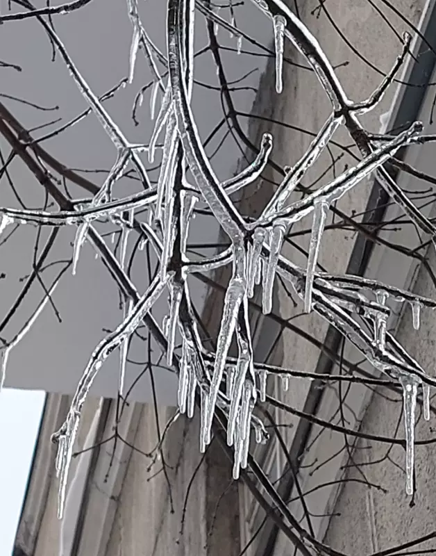 Кафе "У пани Сони"