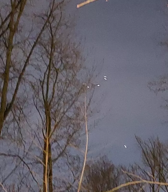 Кафе "У пани Сони"