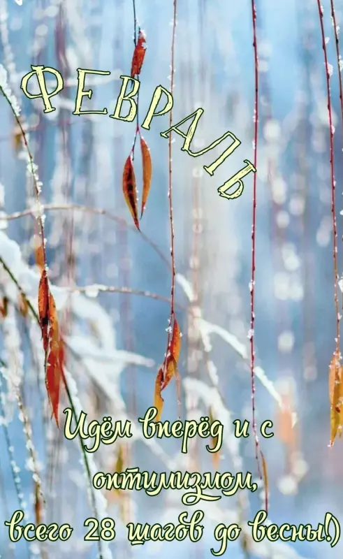 Кафе "У пани Сони"