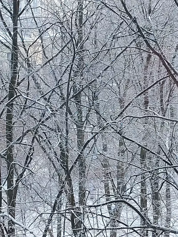 Кафе "У пани Сони"