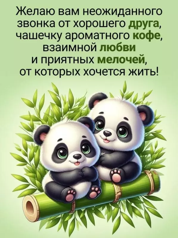 Кафе "У пани Сони"
