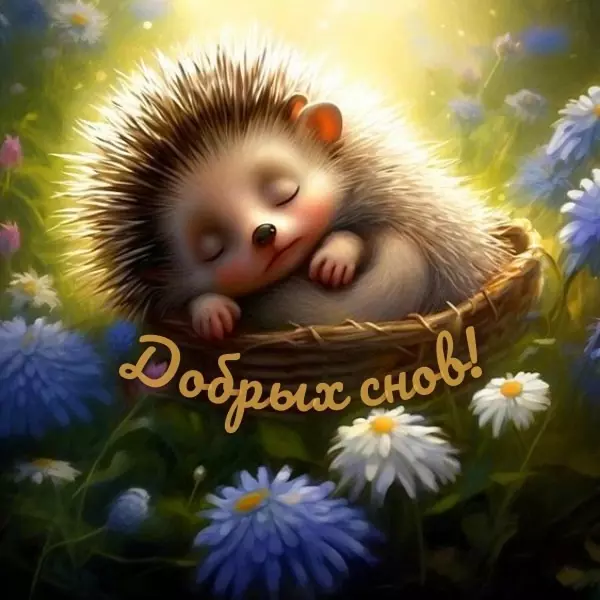 Кафе "У пани Сони"