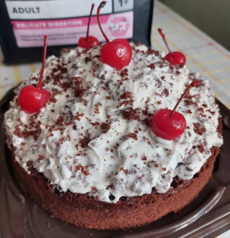 Кафе "У пани Сони"