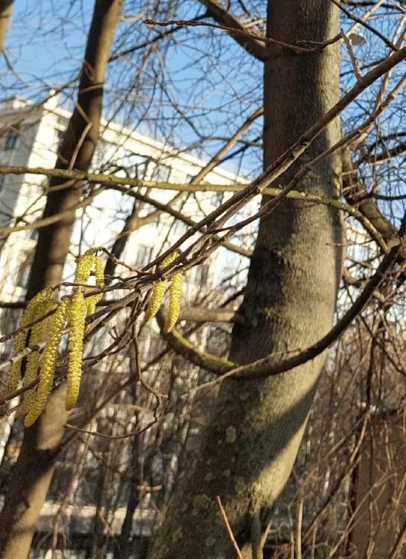 Кафе "У пани Сони"