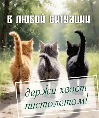 Кафе "У пани Сони"