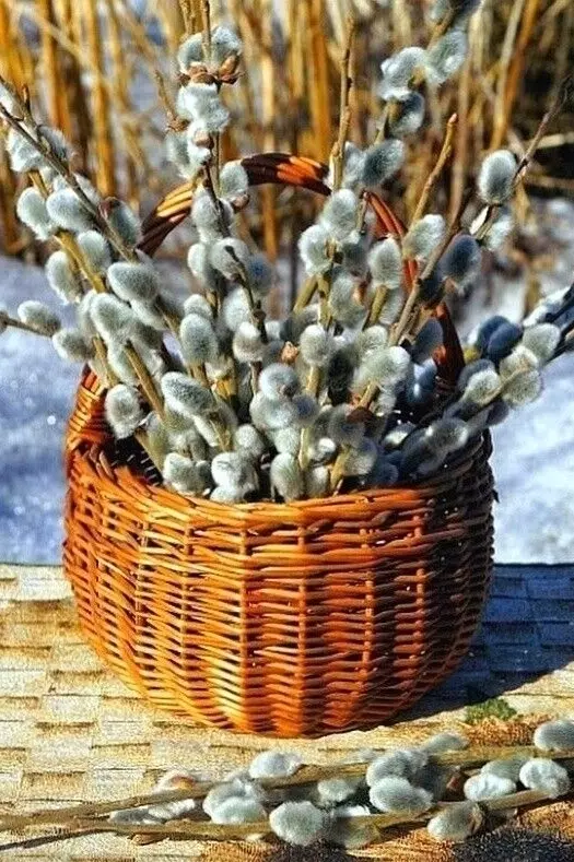 Кафе "У пани Сони"