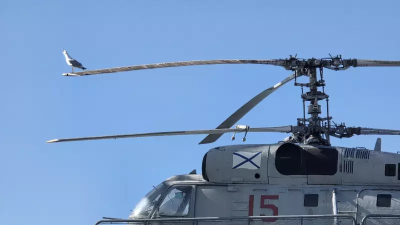 Кафе "У пани Сони"