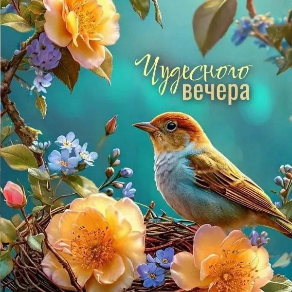 Кафе "У пани Сони"