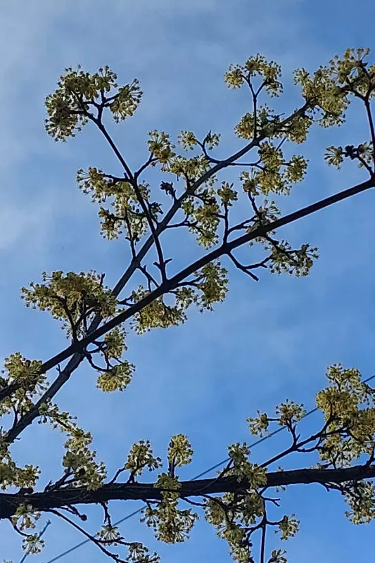 Кафе "У пани Сони"