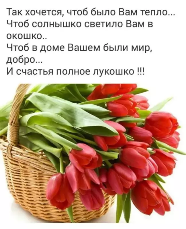 Кафе "У пани Сони"