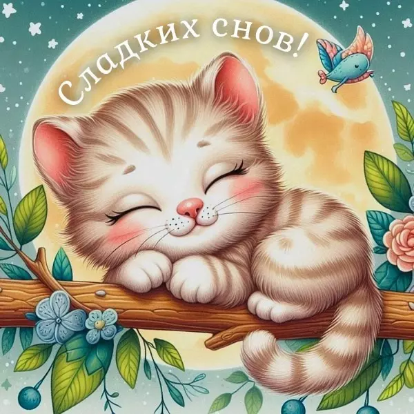 Кафе "У пани Сони"