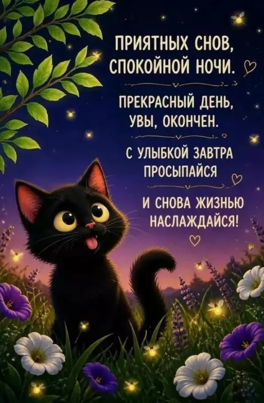 Кафе "У пани Сони"