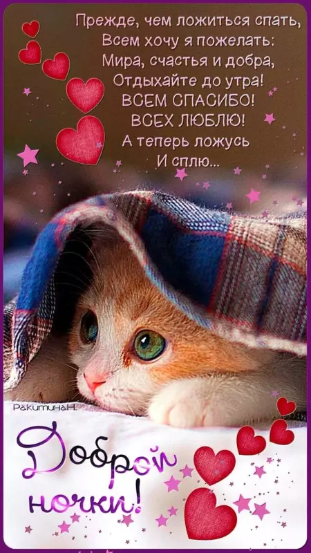 Кафе "У пани Сони"