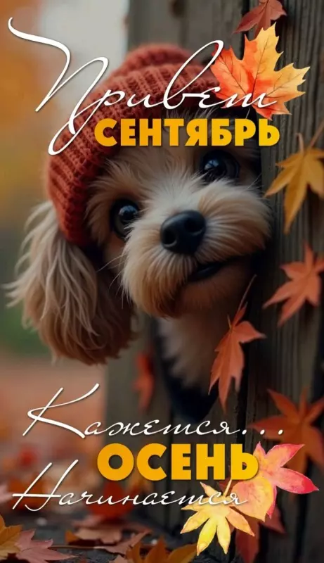 Кафе "У пани Сони"