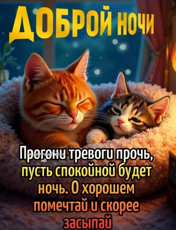 Кафе "У пани Сони"