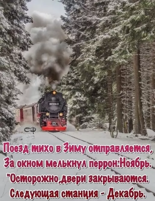 Tapтaлeтки & Ко