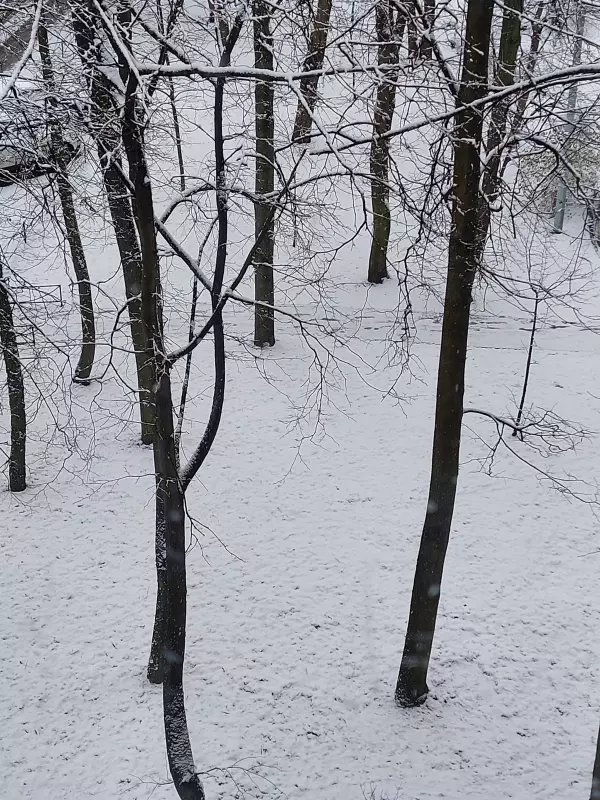 Tapтaлeтки & Ко