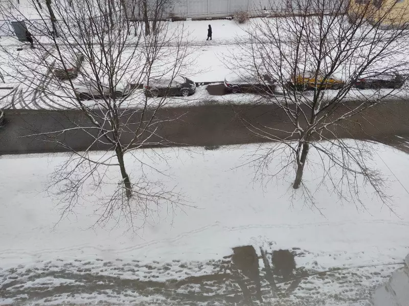 Tapтaлeтки & Ко