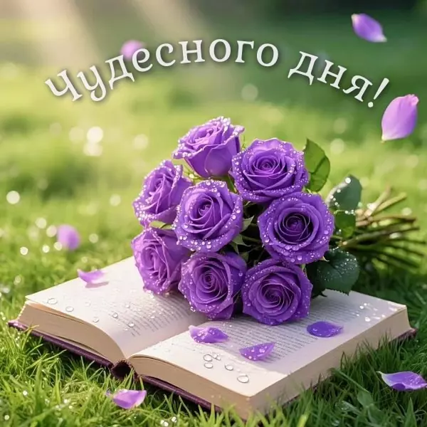 Tapтaлeтки & Ко