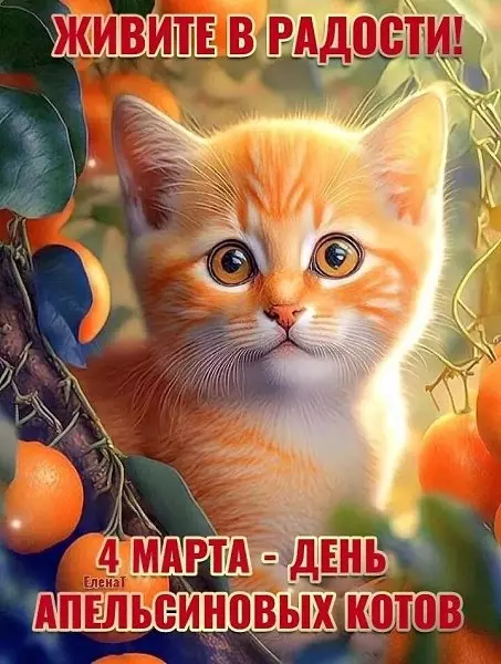 Tapтaлeтки & Ко