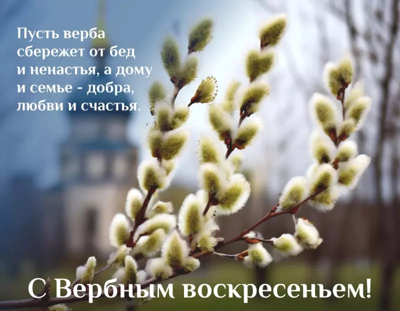Tapтaлeтки & Ко