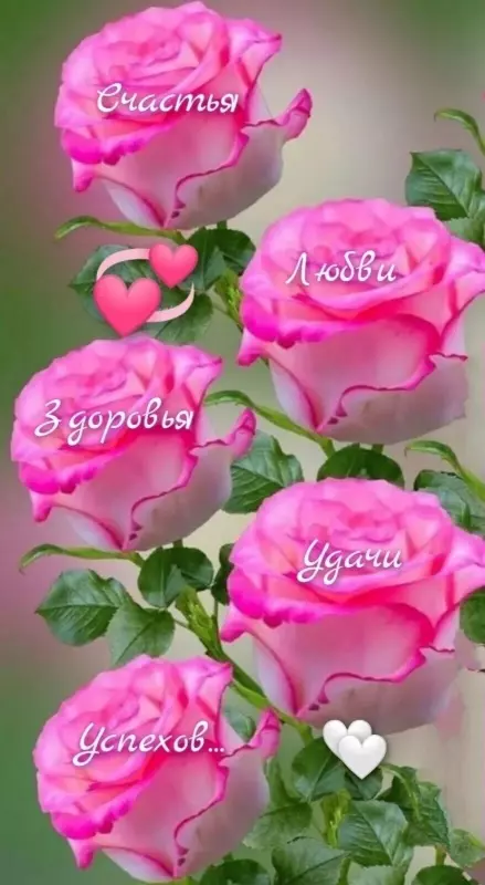 Tapтaлeтки & Ко